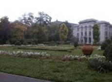 CISMIGIU GARDEN